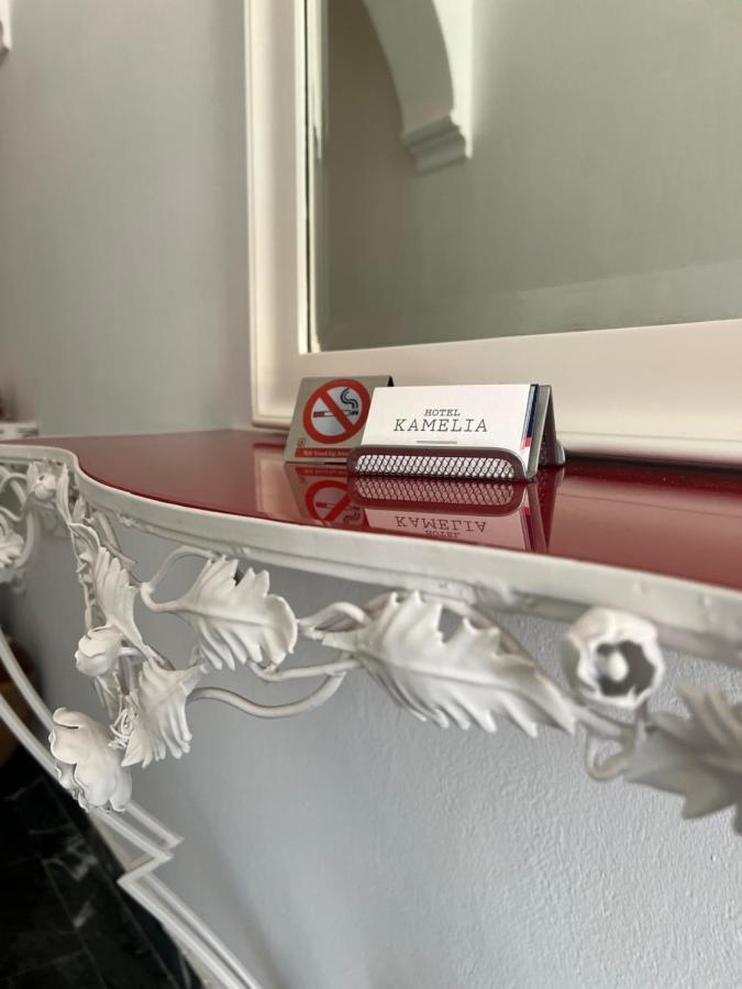 Kamelia Hotel Spétses Zewnętrze zdjęcie