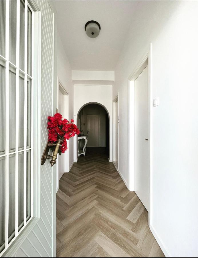 Kamelia Hotel Spétses Zewnętrze zdjęcie